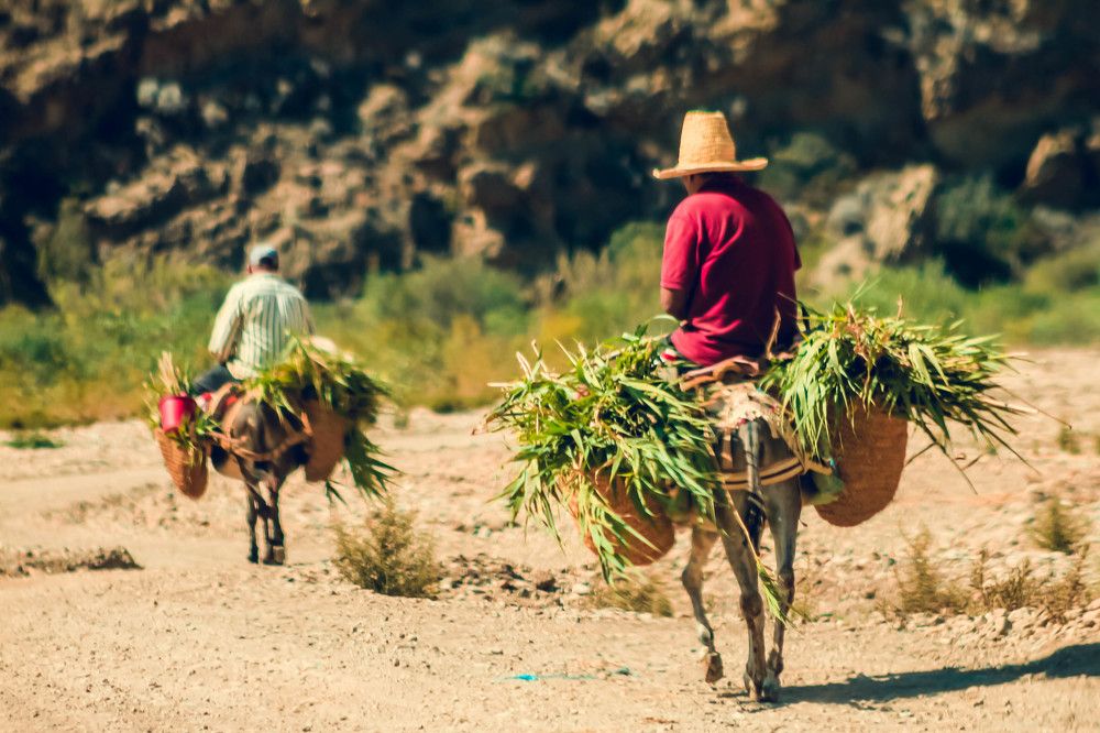 Photograph by SOUFIANE EL KADAOUI