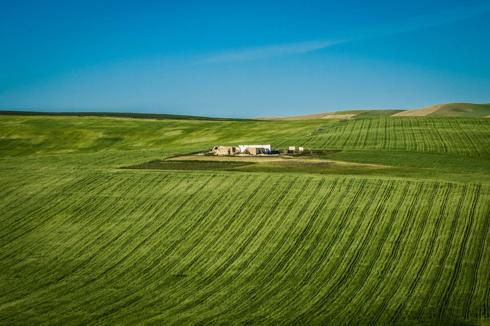 Photograph by SOUFIANE EL KADAOUI