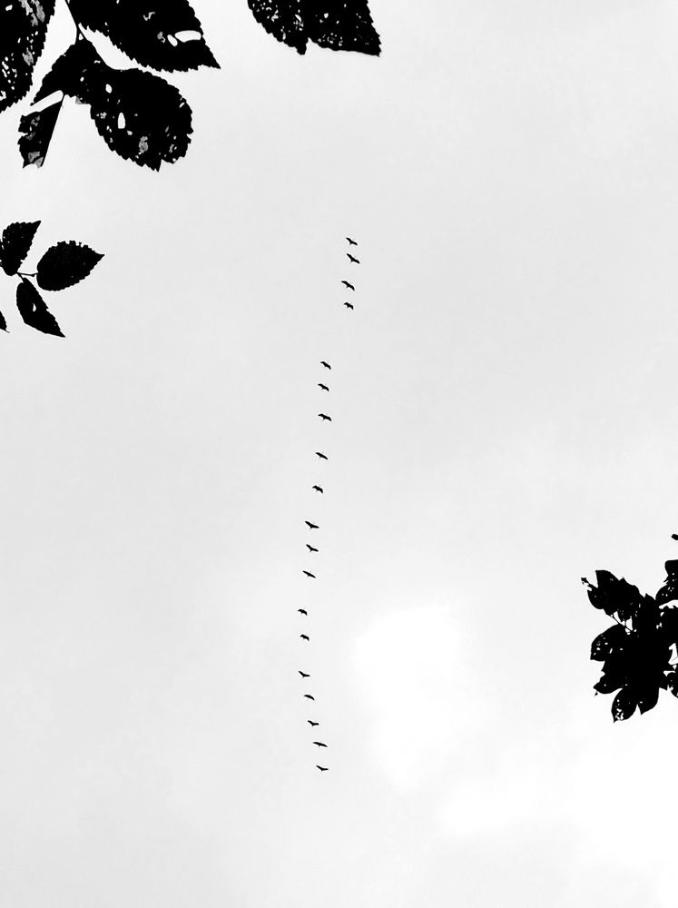 Photograph by Sam Esfahani
