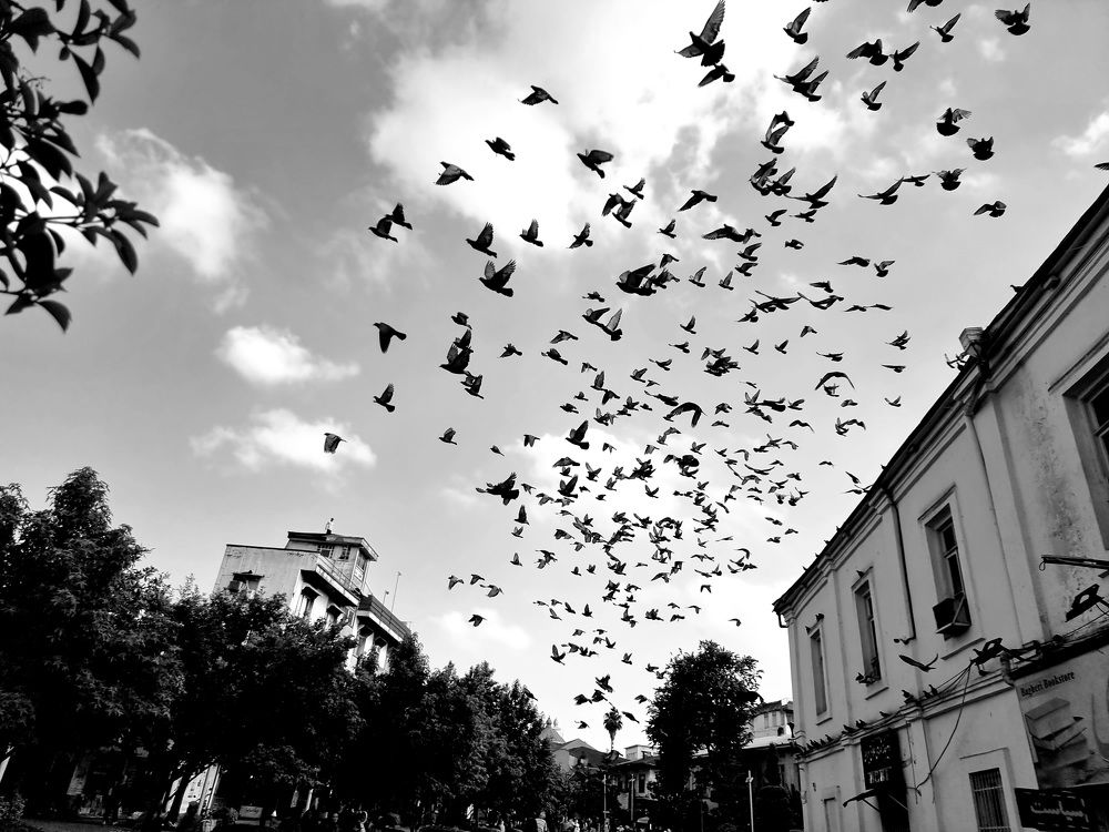 Photograph by Sam Esfahani