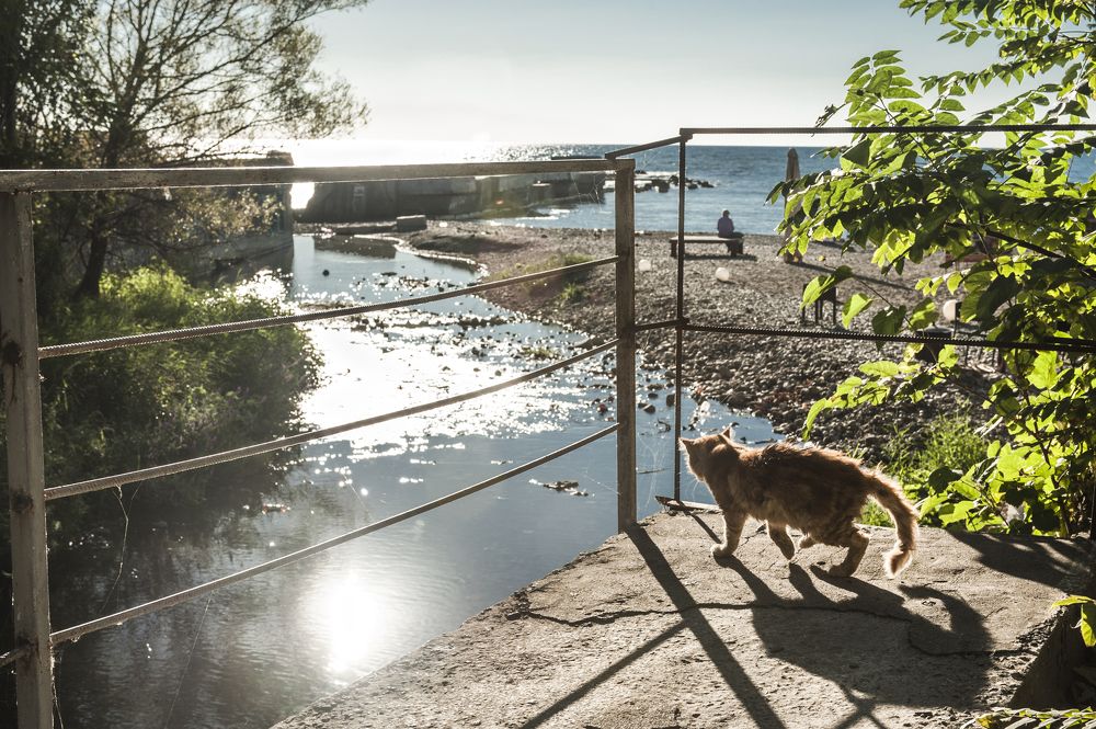 Photograph by Виктор Черкасов