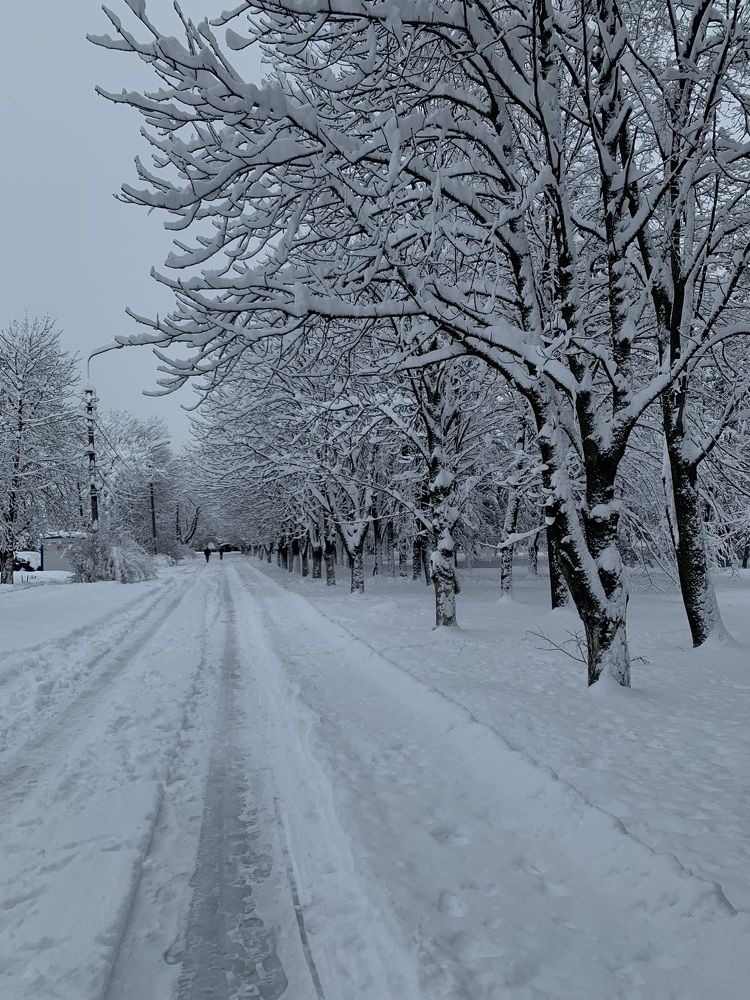 Photograph by Ника Клименко