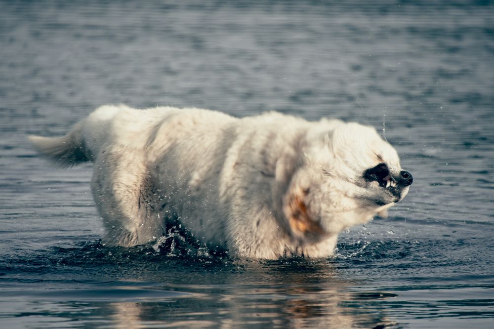 Photograph by Тарас