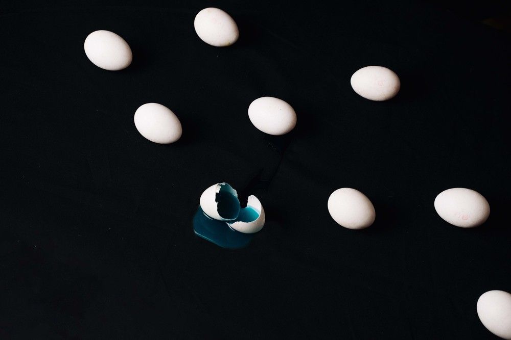 Фотография автора Рыбаков Илья