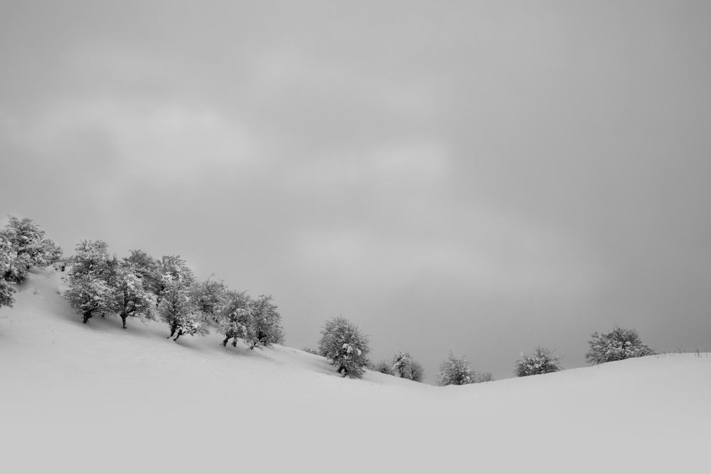 the cold land of silence