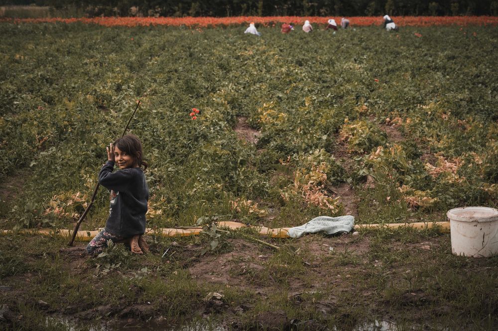 Photograph by Andreas Kanellopoulos