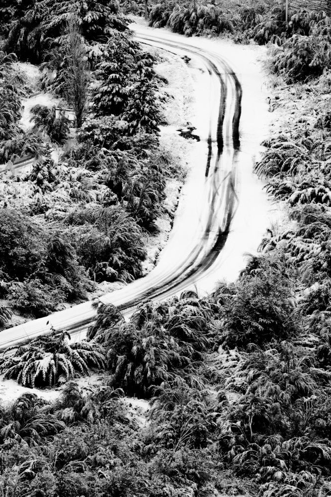 Фотография автора Gerardo Dayan