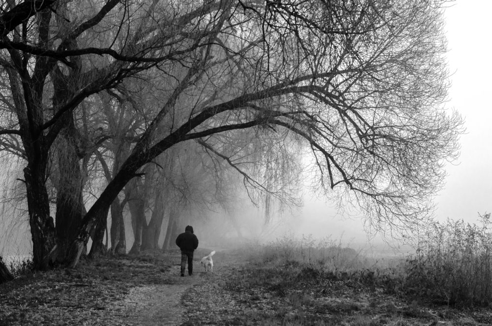 Photograph by Евгений Каримов