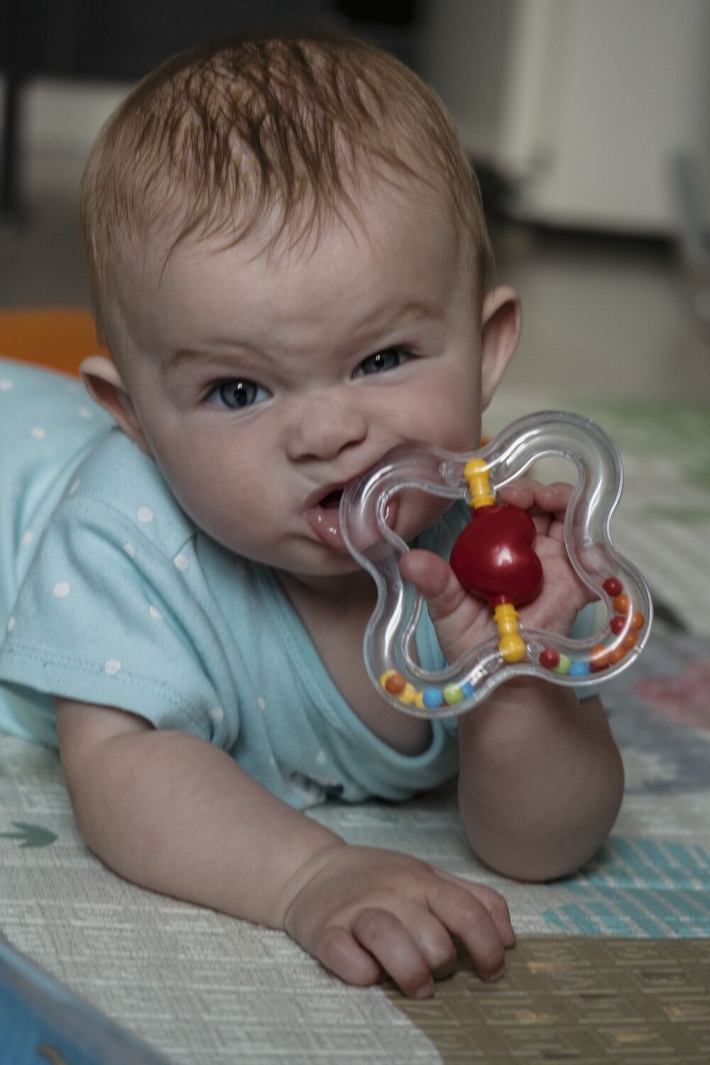Photo #9556493