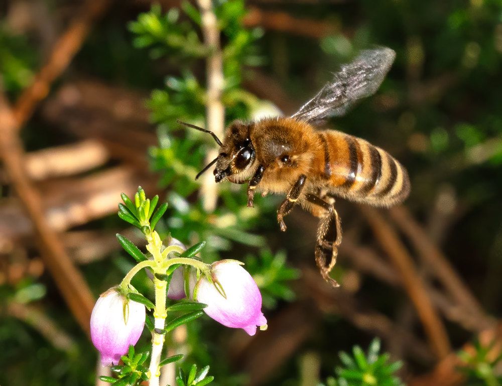Photograph by Viktor Makarov