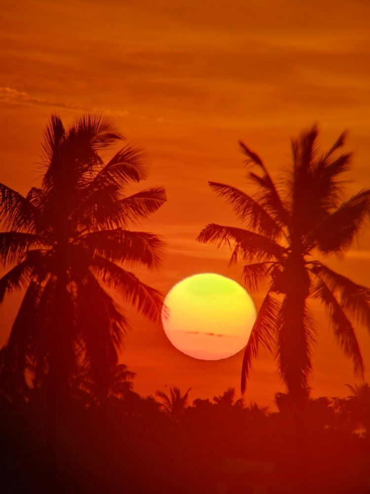 Photograph by Sourav pramanik