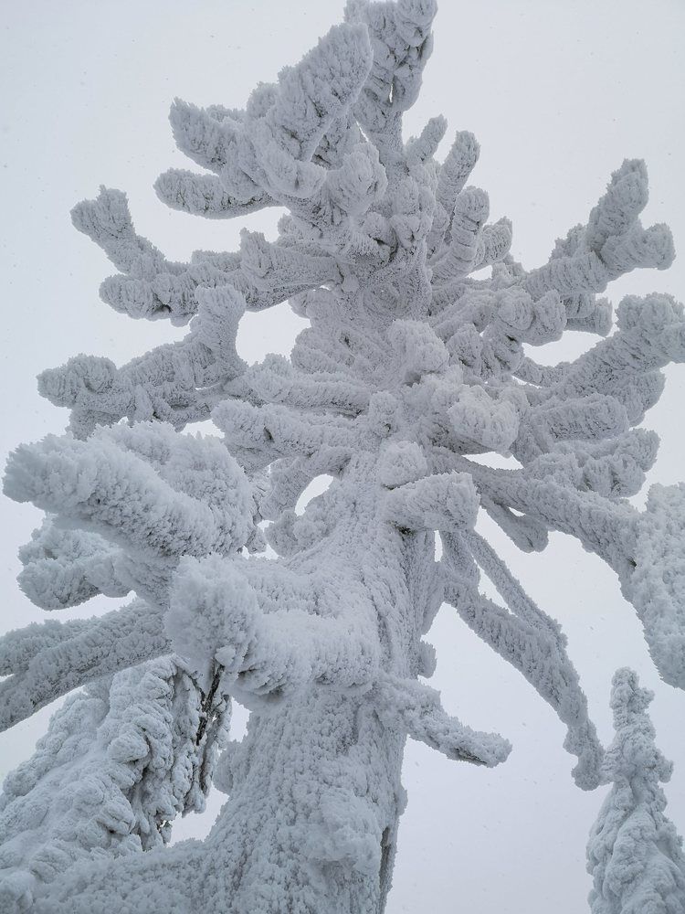 Photograph by Liubov Tarasova