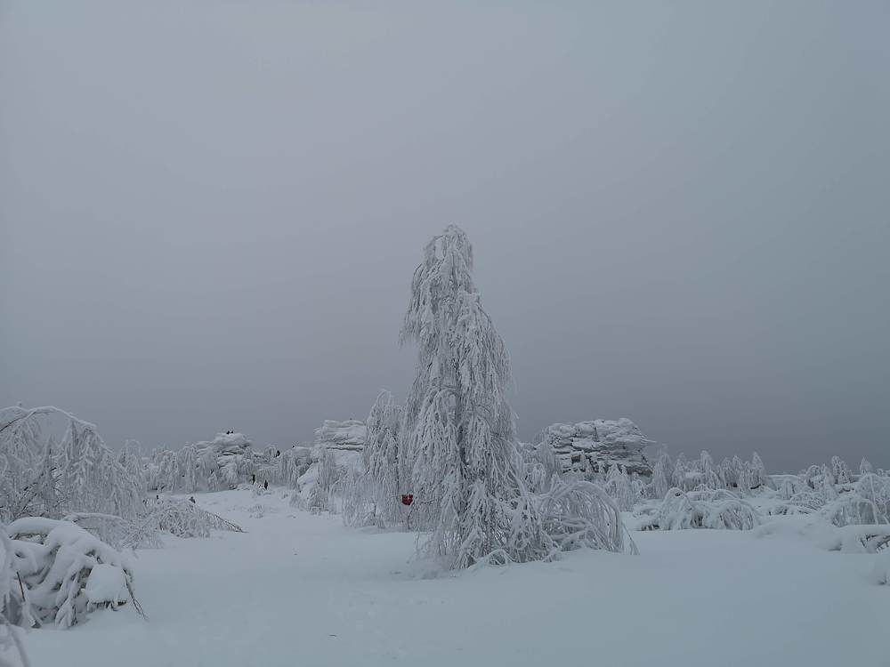 Photograph by Liubov Tarasova