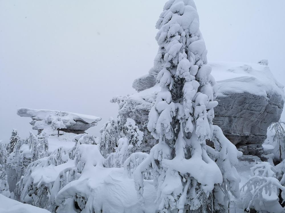 Photograph by Liubov Tarasova