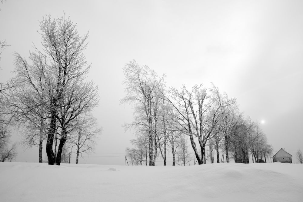 Фотография автора Анна Переверзева