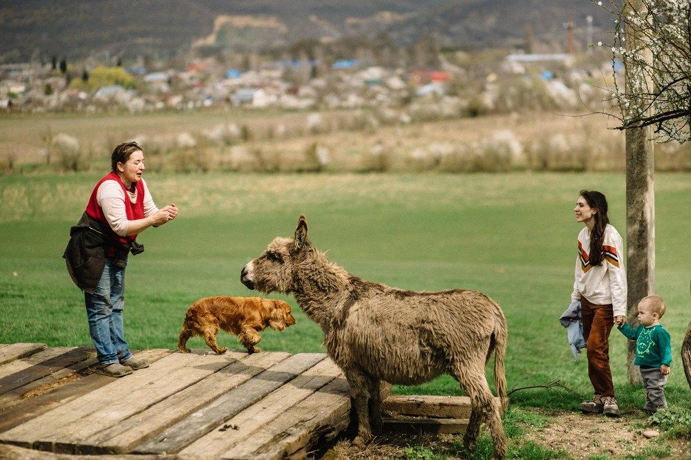 Photograph by Михаил Мартиросян