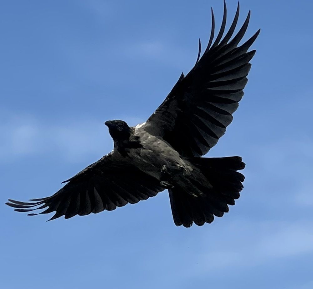 Photograph by Светлана Хохлова