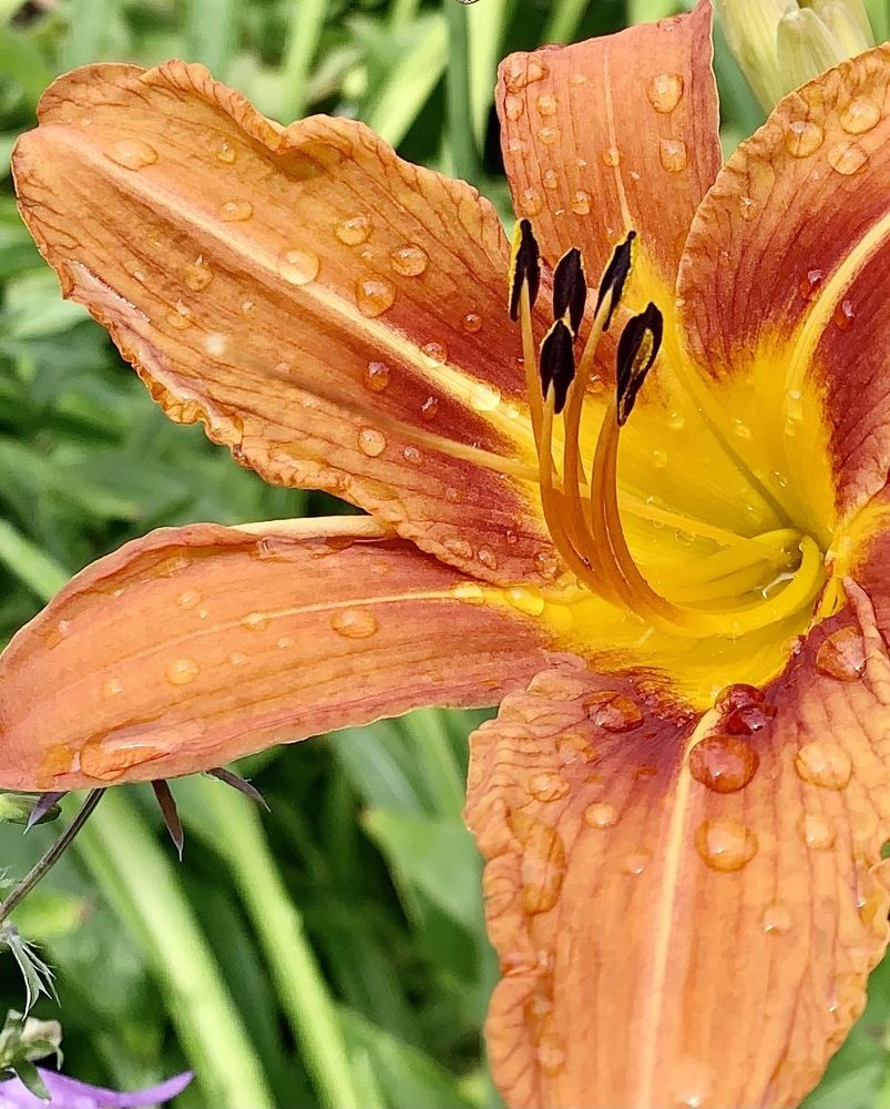 Photograph by Светлана Хохлова