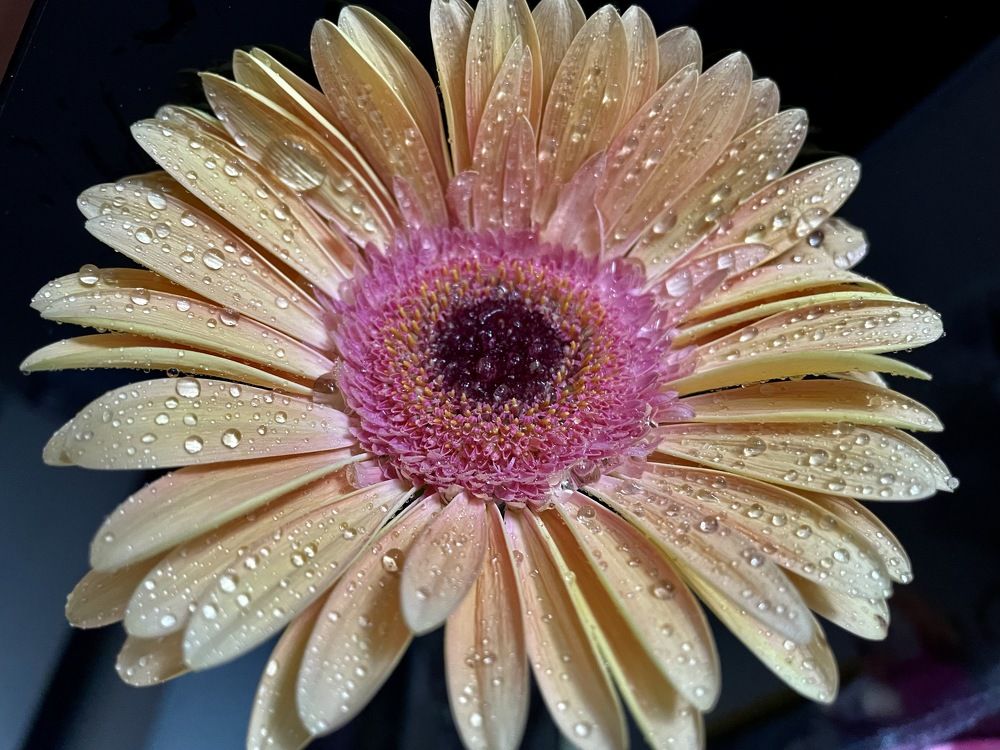 Photograph by Светлана Хохлова