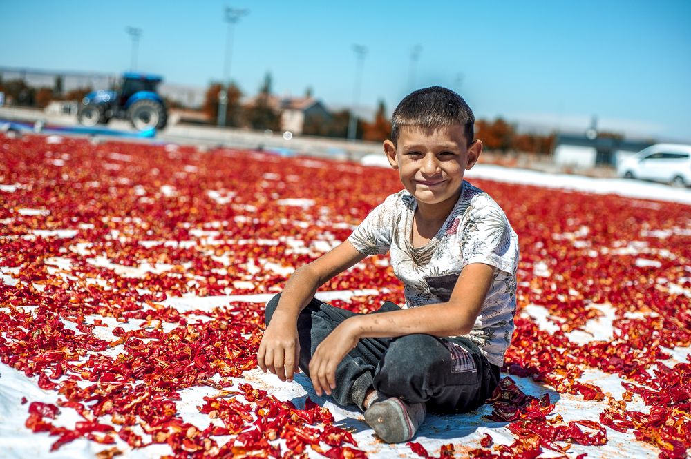 Photograph by DAMOUN POURNEMATI