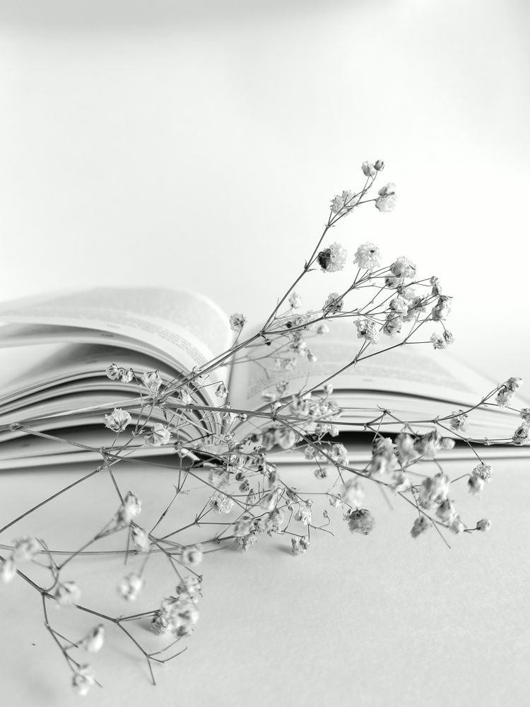 Фотография автора Вера