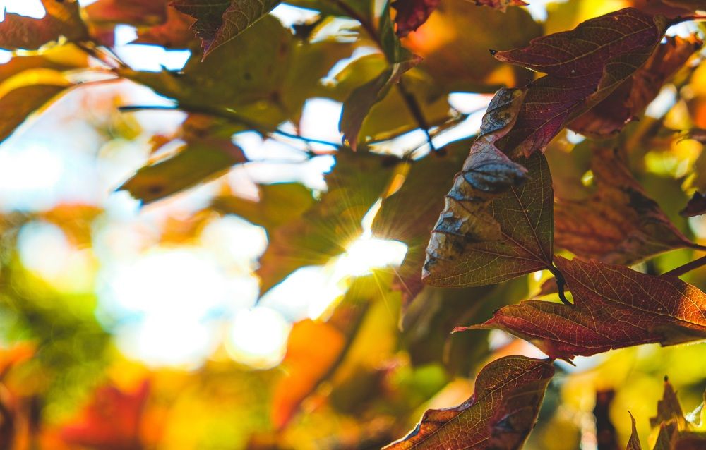 Photograph by Альберт Габбасов