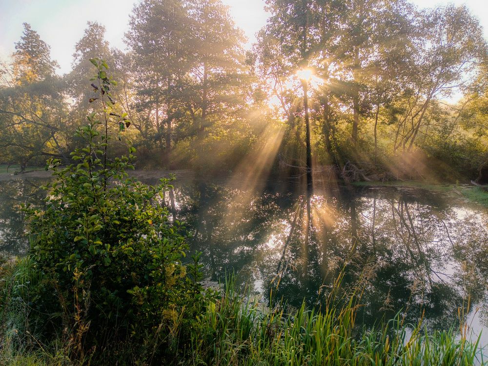 Photograph by Светлана Кондрашова