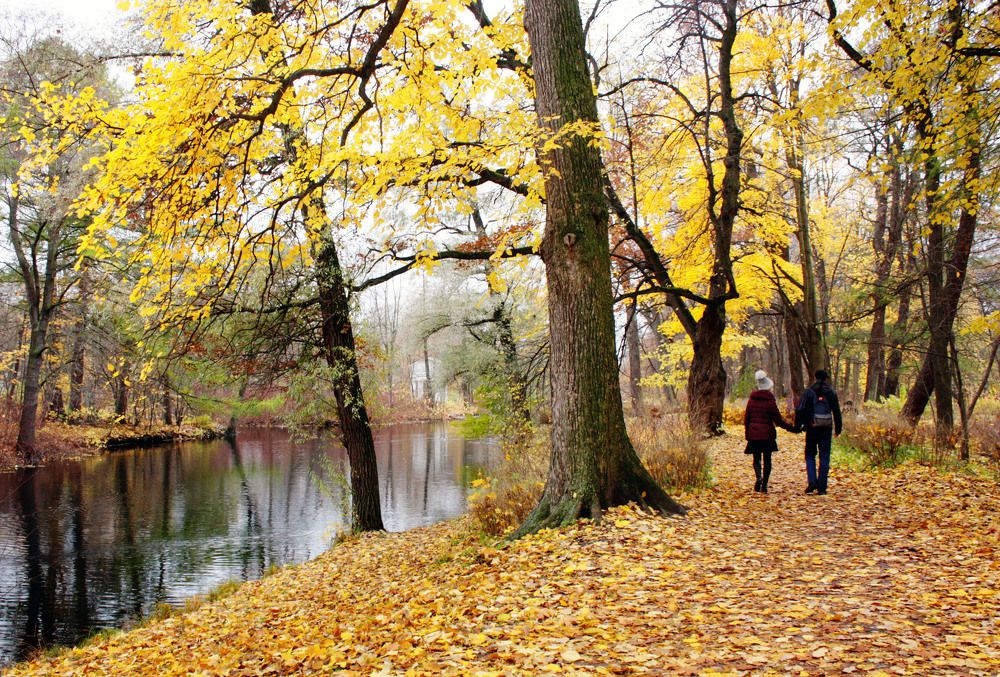 Photograph by Ирина Румянцева