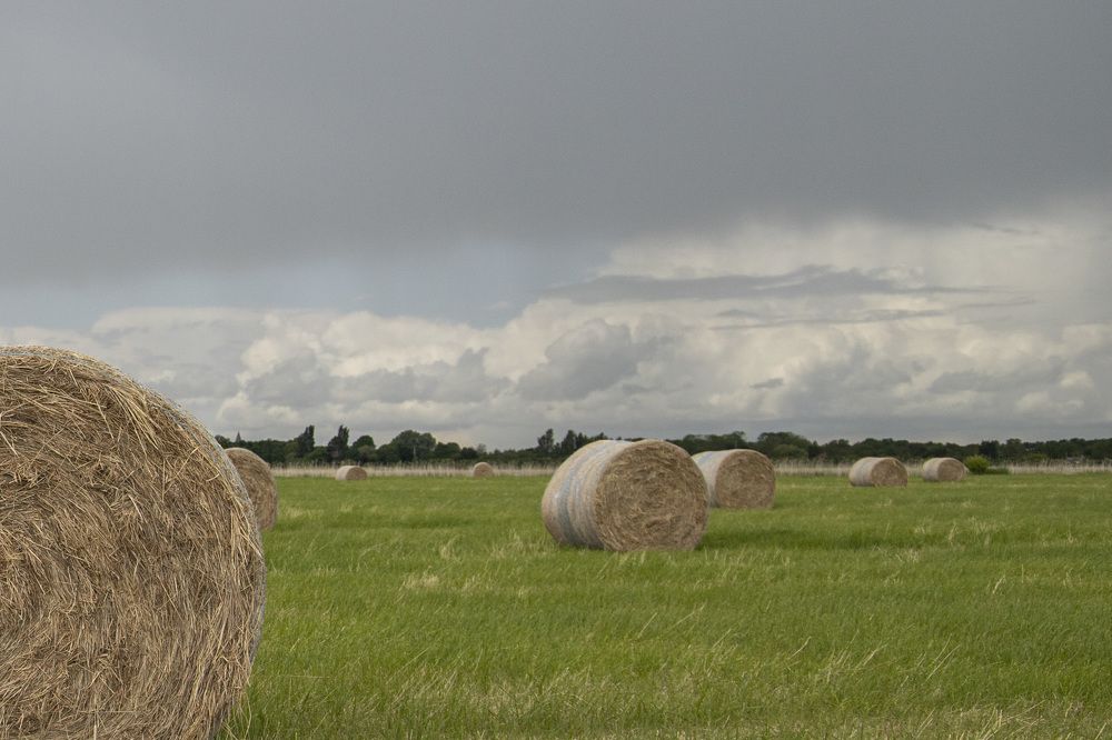 Photograph by Natalja Poplavska