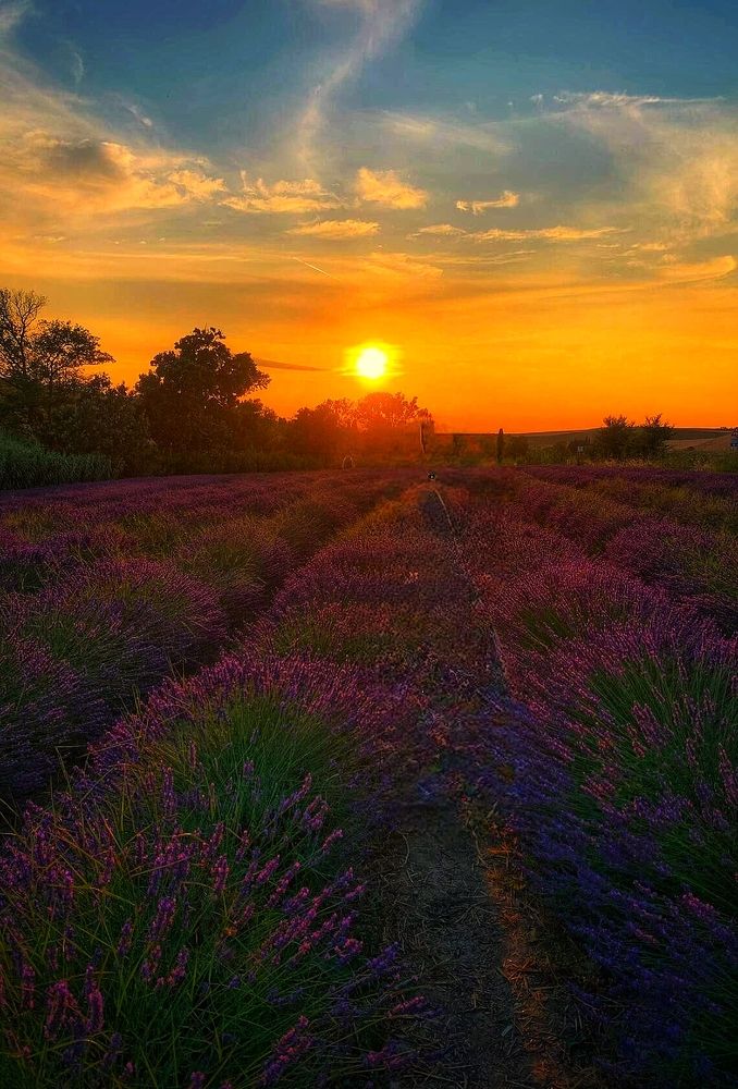 Photograph by Елена Егорова