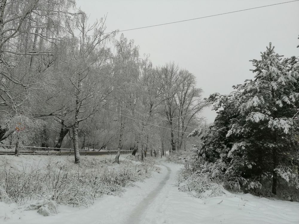 Photograph by Надежда Русакова