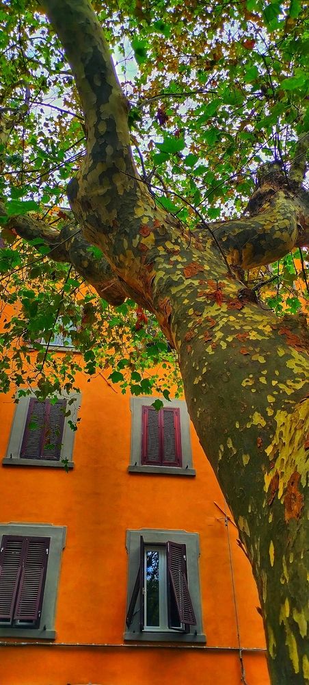 Photograph by Елена Егорова