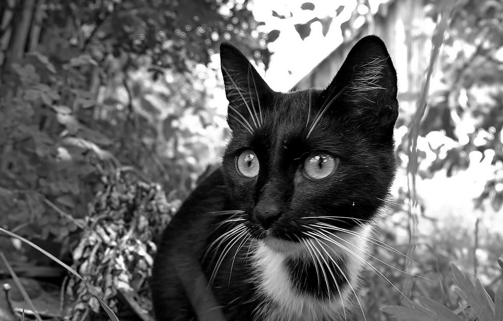 Photograph by Галина Искандарова