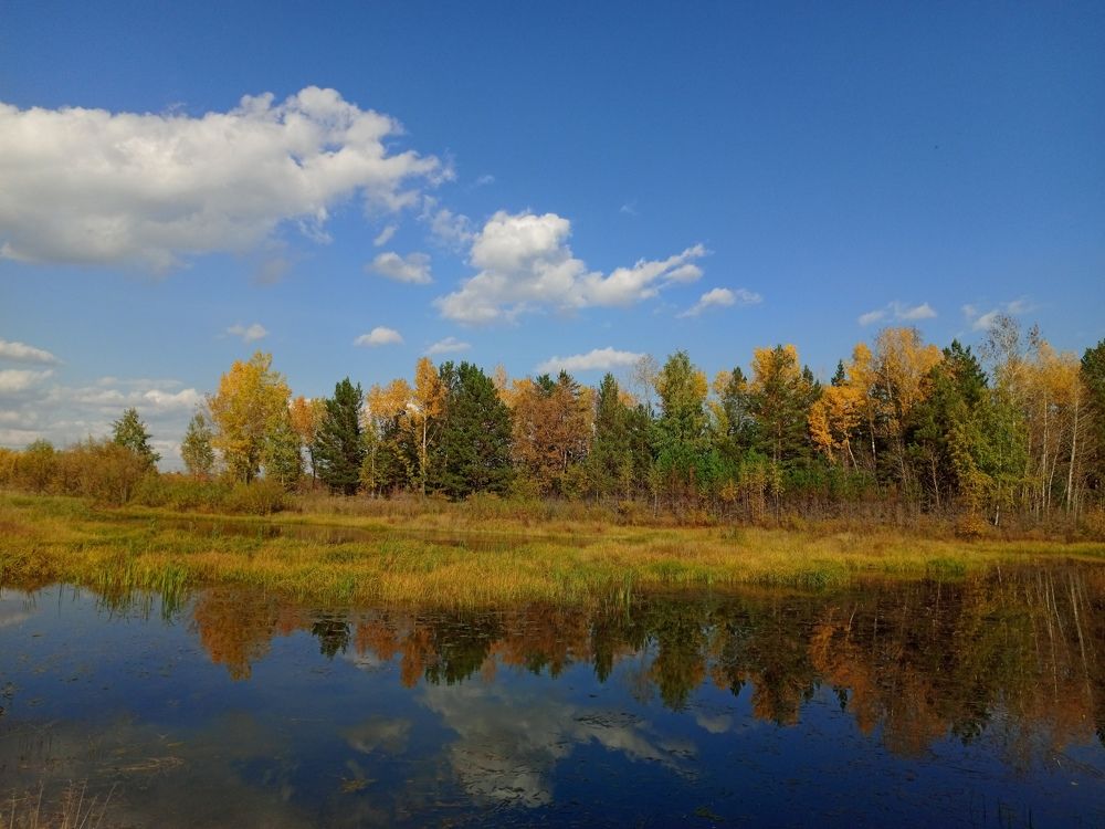 Photo #9556830
