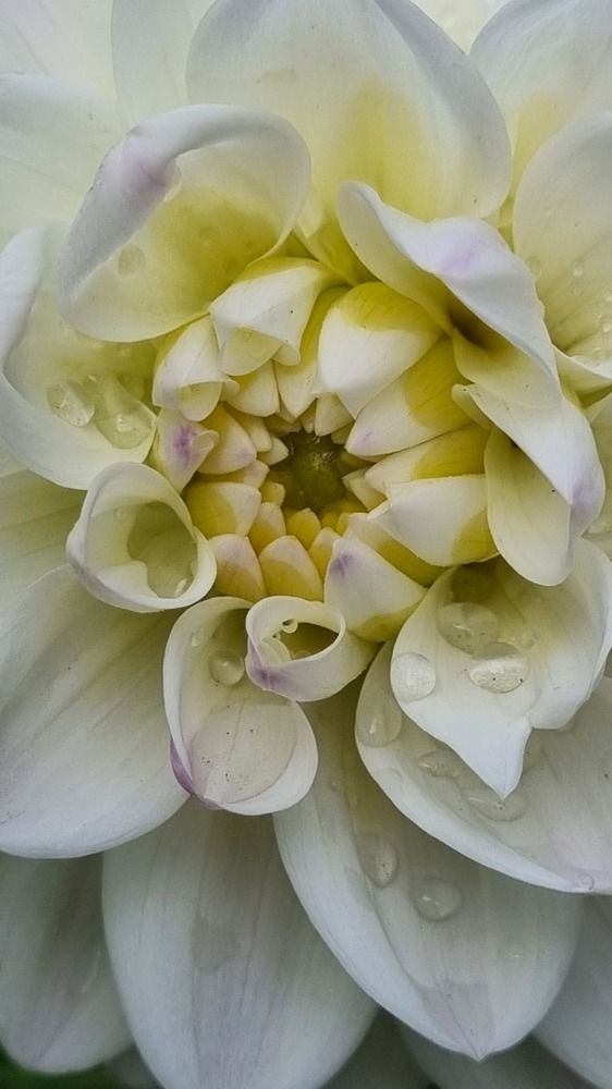 Photograph by Elena Tamošauskaite