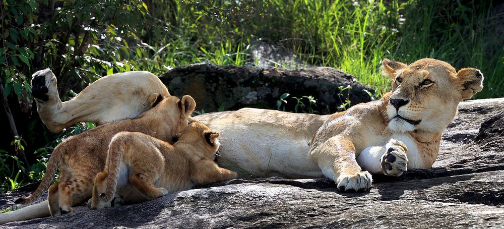 Photograph by Nirbhay Patil