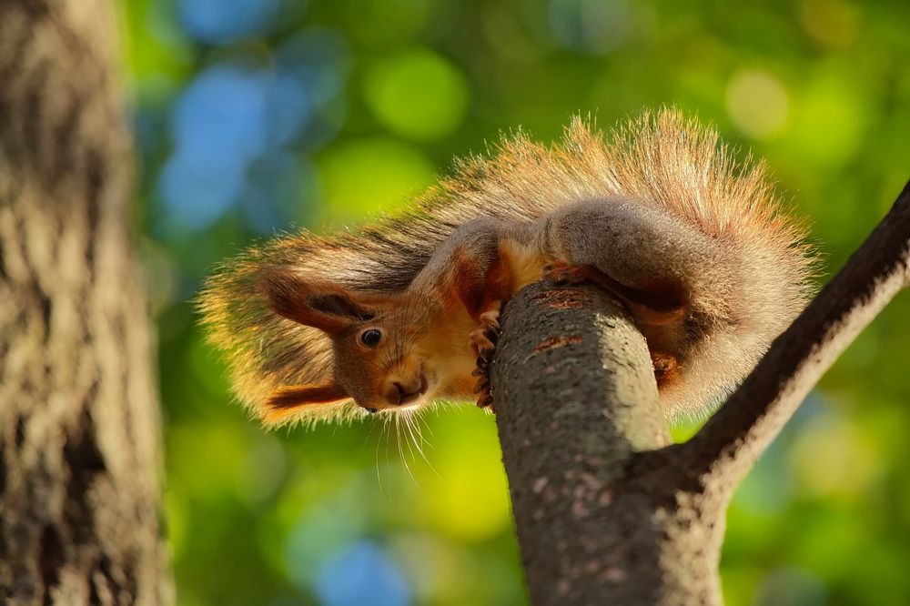 Photograph by Олег Раков