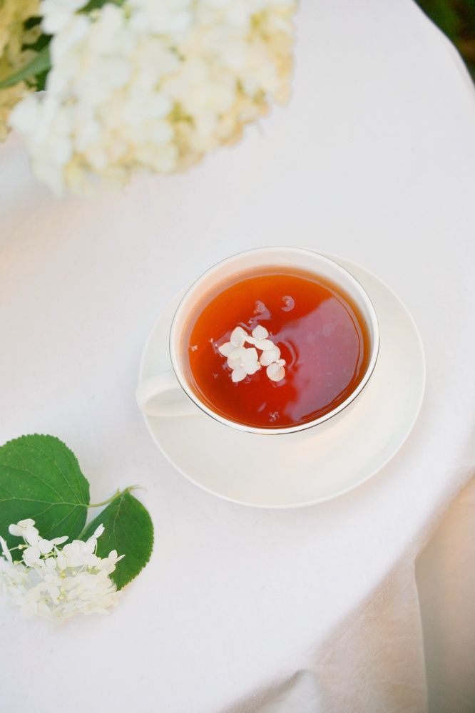 Photograph by Marina Gritchina