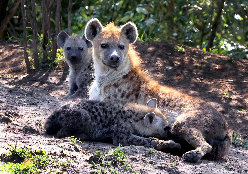 Photograph by Nirbhay Patil