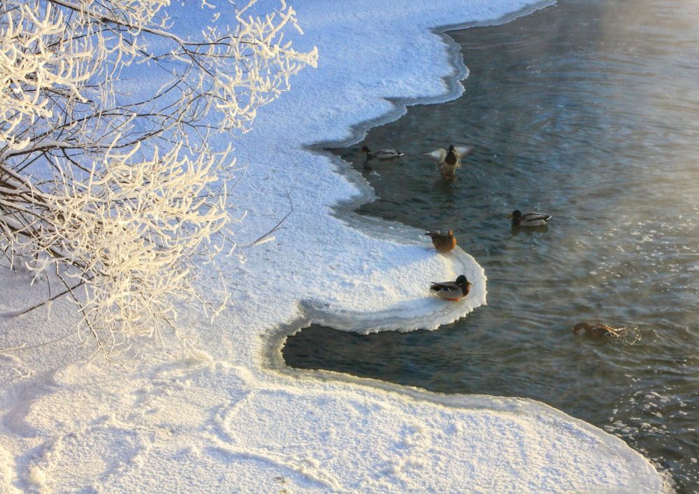 Photograph by Мария Андреева