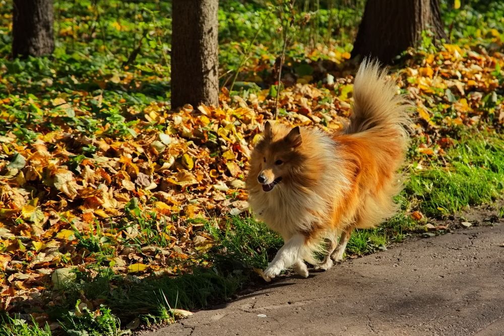 Photograph by Олег Раков