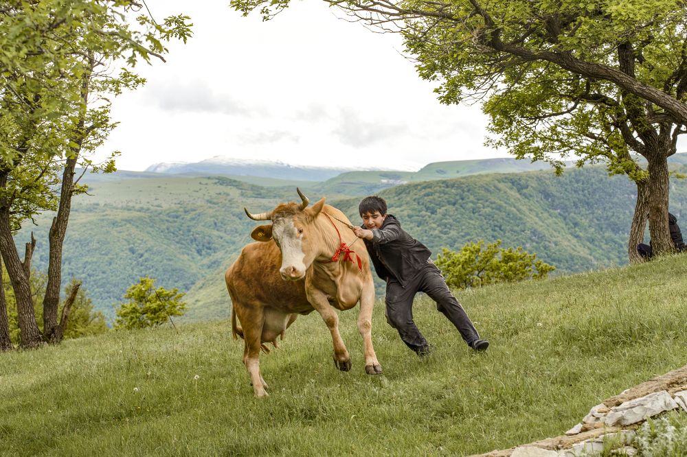 Фотография автора Юрий Коробейчук