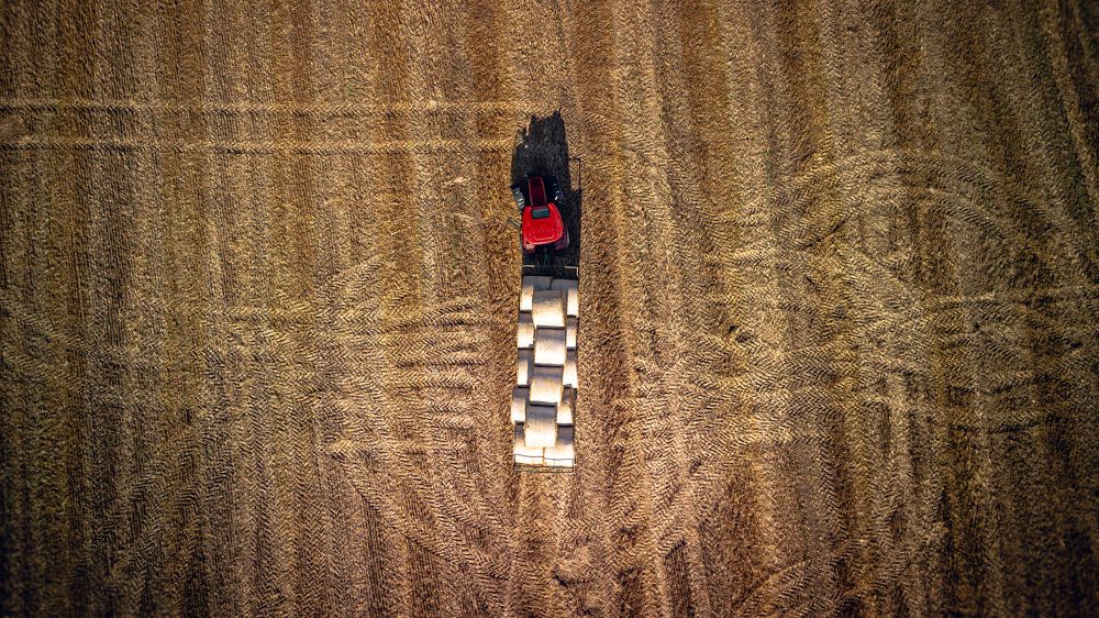 Photograph by Dani Wieczorek