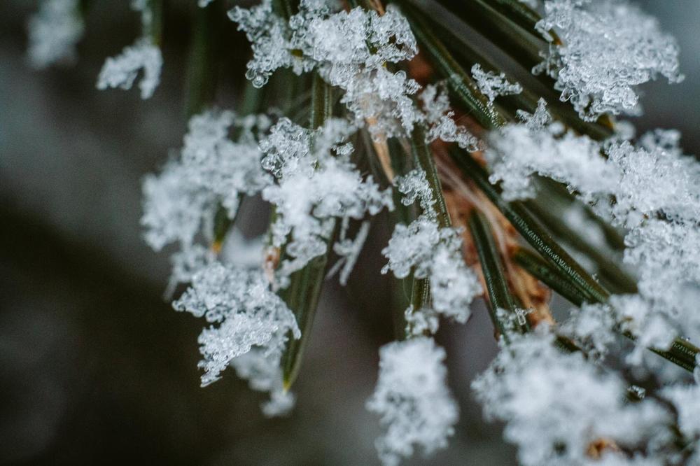 Photograph by Анжелика Трошина