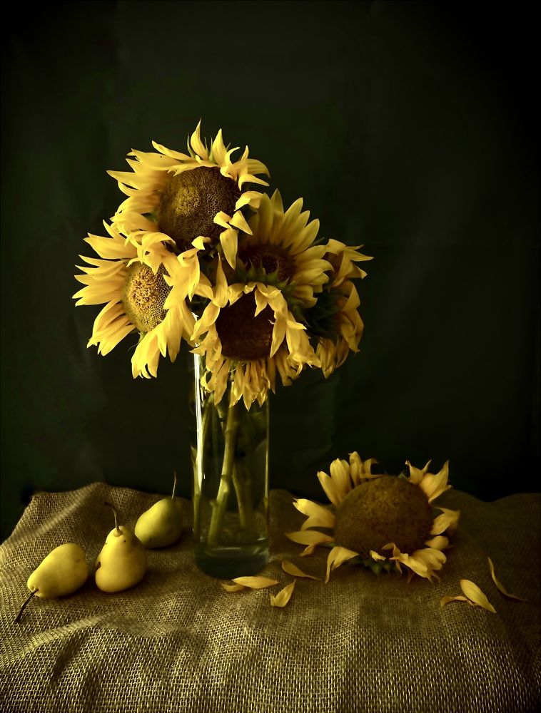 Photograph by Рамзия Хисамутдинова