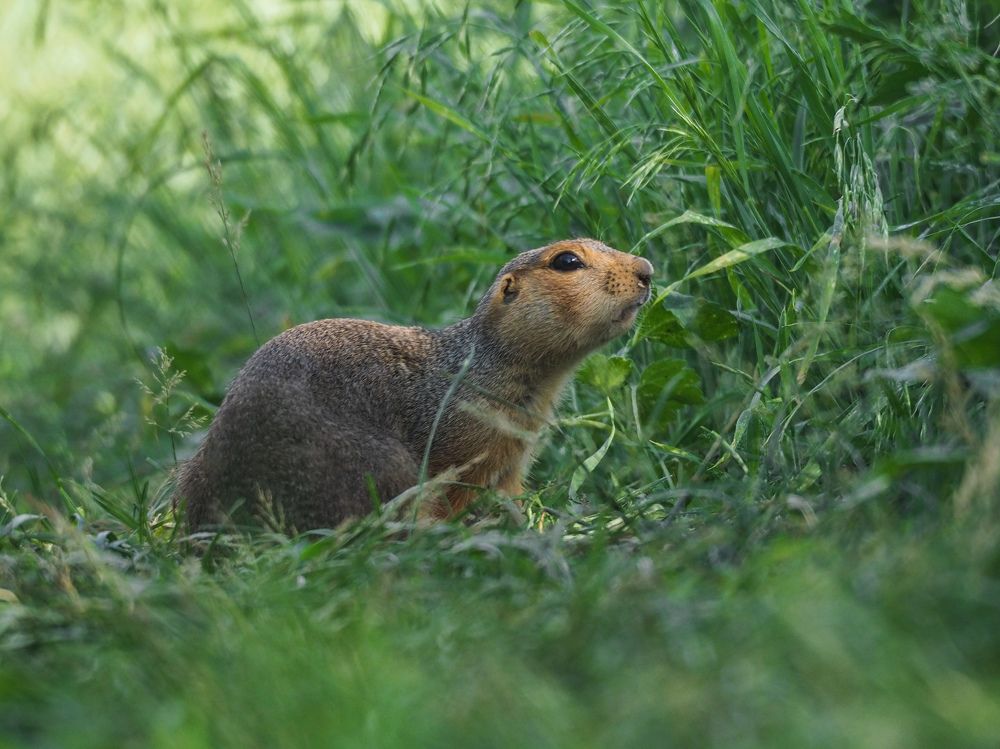 Photograph by Светлана Шибаршина