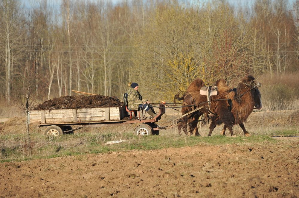 Photograph by Юрий Яковлев