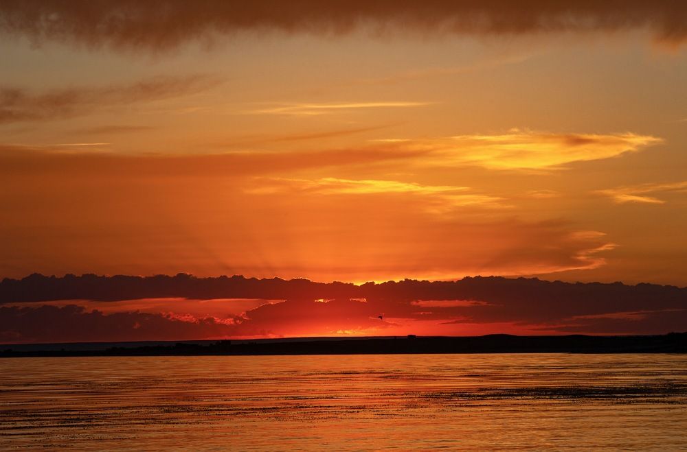 Photograph by Ольга Колокольникова