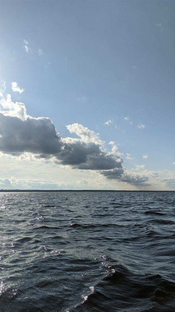 Фотография автора Васильева Ирина