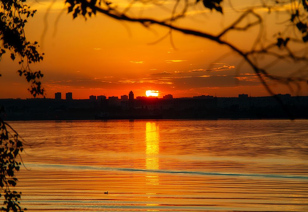 Photograph by Дзюба Нелли